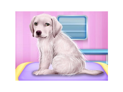 강아지 아픈 이 치료하기 게임 ▶ LABRADOR AT THE DOCTOR SALON