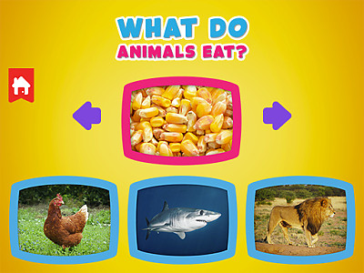 동물들이 먹는 음식 찾기 게임 - WHAT DO ANIMALS EAT