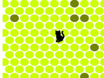 고양이가두기게임