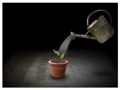 씨앗키우기 게임 (Mitoza)